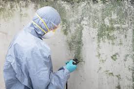 Best Mold Odor Removal Services in Clinton, OH